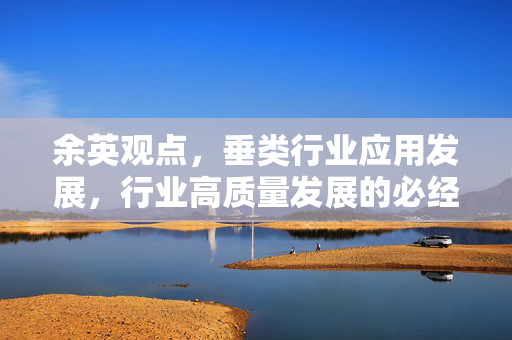 余英观点，垂类行业应用发展，行业高质量发展的必经之路