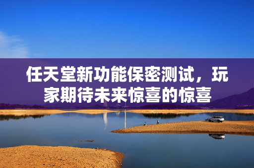 任天堂新功能保密测试，玩家期待未来惊喜的惊喜