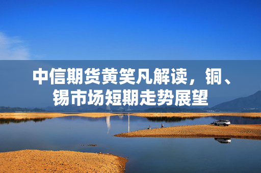 中信期货黄笑凡解读，铜、锡市场短期走势展望