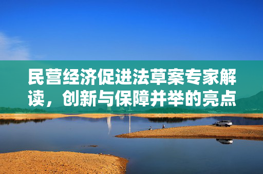 民营经济促进法草案专家解读，创新与保障并举的亮点详析