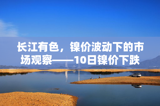 长江有色，镍价波动下的市场观察——10日镍价下跌后的逢低询盘热度提升