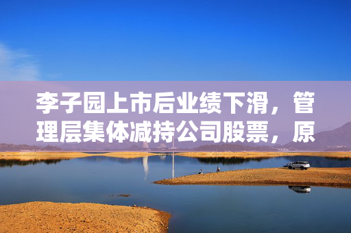 李子园上市后业绩下滑，管理层集体减持公司股票，原因及影响深度解析
