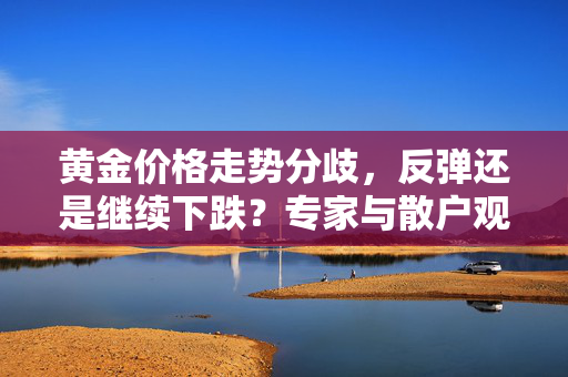 黄金价格走势分歧，反弹还是继续下跌？专家与散户观点解析
