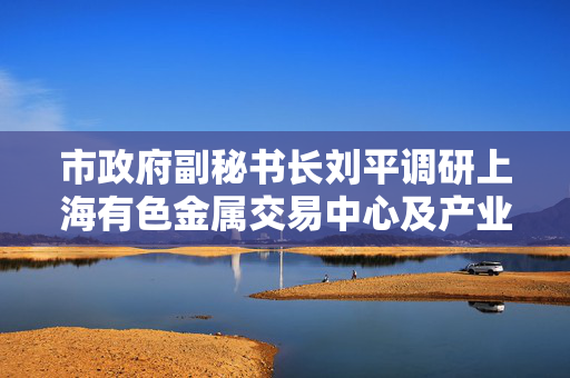 市政府副秘书长刘平调研上海有色金属交易中心及产业链企业