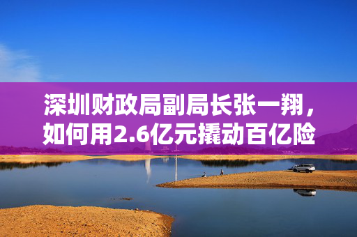 深圳财政局副局长张一翔，如何用2.6亿元撬动百亿险资基金落地？