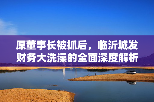 原董事长被抓后，临沂城发财务大洗澡的全面深度解析