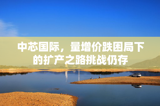 中芯国际，量增价跌困局下的扩产之路挑战仍存
