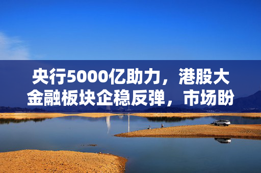 央行5000亿助力，港股大金融板块企稳反弹，市场盼望财政政策加码跟进