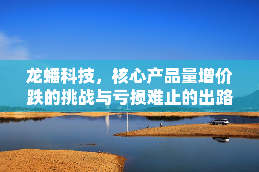 龙蟠科技，核心产品量增价跌的挑战与亏损难止的出路