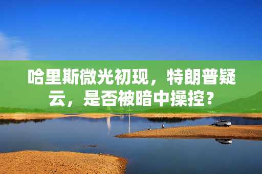 哈里斯微光初现，特朗普疑云，是否被暗中操控？