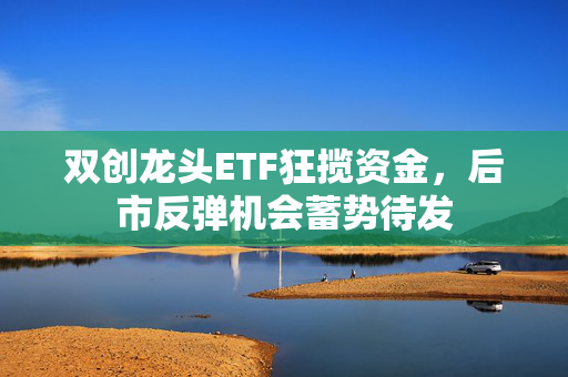 双创龙头ETF狂揽资金，后市反弹机会蓄势待发