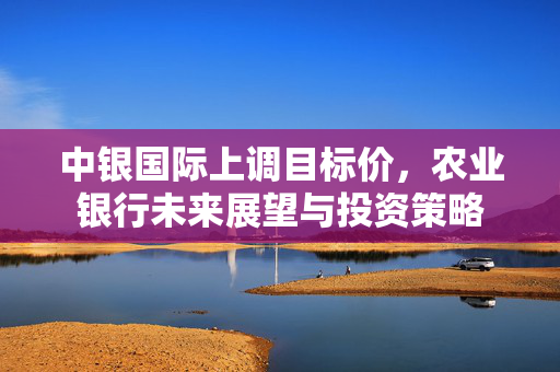 中银国际上调目标价，农业银行未来展望与投资策略