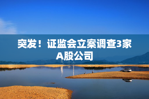 突发！证监会立案调查3家A股公司