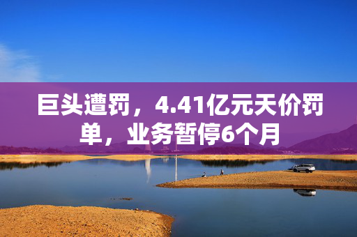 巨头遭罚，4.41亿元天价罚单，业务暂停6个月