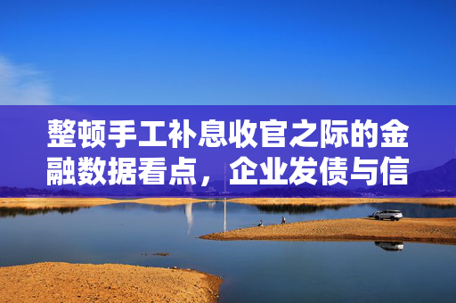整顿手工补息收官之际的金融数据看点，企业发债与信贷替代的动向分析