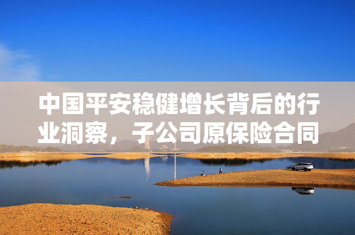 中国平安稳健增长背后的行业洞察，子公司原保险合同保费收入达6207.06亿元