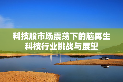 科技股市场震荡下的脑再生科技行业挑战与展望