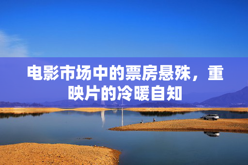 电影市场中的票房悬殊，重映片的冷暖自知