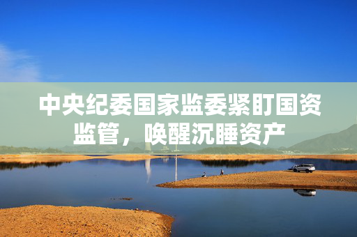 中央纪委国家监委紧盯国资监管，唤醒沉睡资产