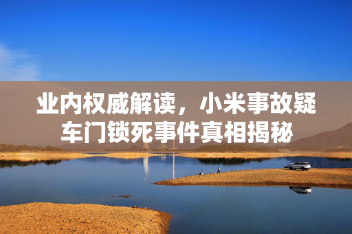 业内权威解读，小米事故疑车门锁死事件真相揭秘