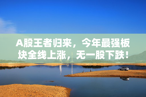 A股王者归来，今年最强板块全线上涨，无一股下跌！