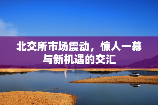 北交所市场震动，惊人一幕与新机遇的交汇