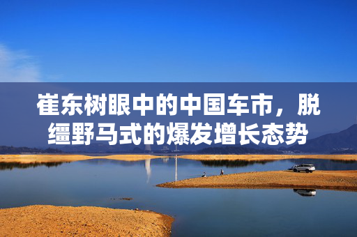 崔东树眼中的中国车市，脱缰野马式的爆发增长态势