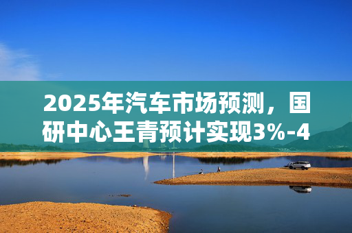 2025年汽车市场预测，国研中心王青预计实现3%-4%稳健增长