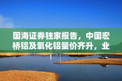 国海证券独家报告，中国宏桥铝及氧化铝量价齐升，业绩显著提升，强烈推荐买入