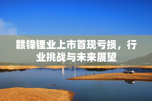 赣锋锂业上市首现亏损，行业挑战与未来展望