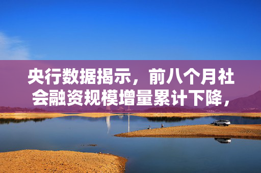 央行数据揭示，前八个月社会融资规模增量累计下降，经济环境深度分析