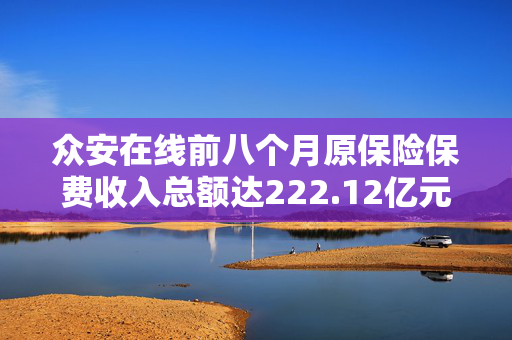 众安在线前八个月原保险保费收入总额达222.12亿元的业绩解析