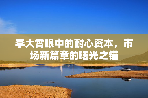 李大霄眼中的耐心资本，市场新篇章的曙光之锚