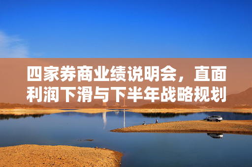 四家券商业绩说明会，直面利润下滑与下半年战略规划展望