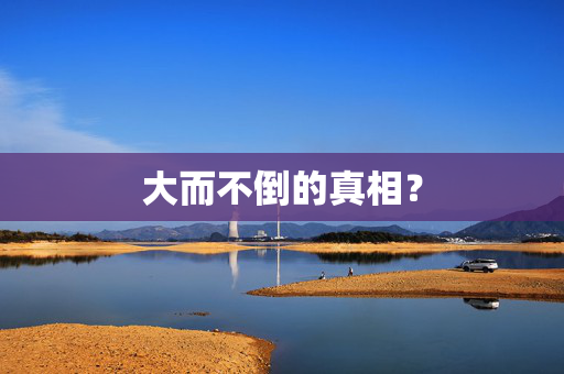 大而不倒的真相？