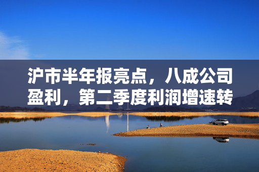 沪市半年报亮点，八成公司盈利，第二季度利润增速转正