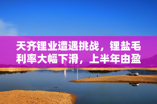 天齐锂业遭遇挑战，锂盐毛利率大幅下滑，上半年由盈转亏