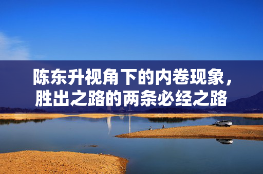 陈东升视角下的内卷现象，胜出之路的两条必经之路