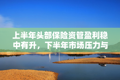 上半年头部保险资管盈利稳中有升，下半年市场压力与挑战共存