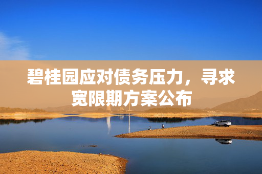 碧桂园应对债务压力，寻求宽限期方案公布