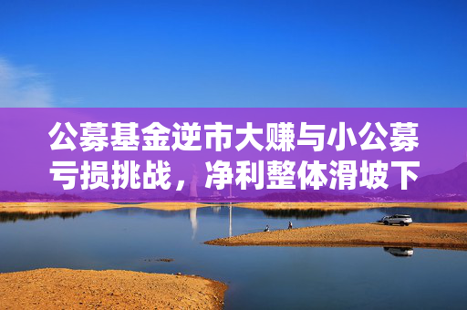 公募基金逆市大赚与小公募亏损挑战，净利整体滑坡下的市场观察