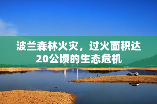 波兰森林火灾，过火面积达20公顷的生态危机