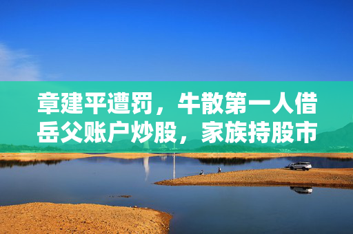 章建平遭罚，牛散第一人借岳父账户炒股，家族持股市值近40亿元