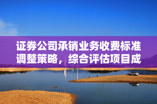 证券公司承销业务收费标准调整策略，综合评估项目成本与市场需求