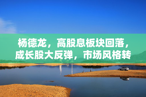 杨德龙，高股息板块回落，成长股大反弹，市场风格转变契机来临