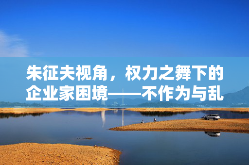朱征夫视角，权力之舞下的企业家困境——不作为与乱作为的挑战