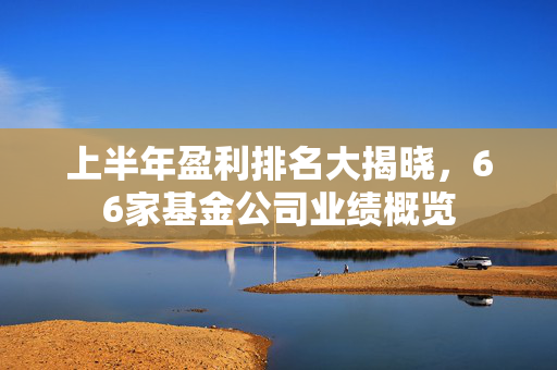 上半年盈利排名大揭晓，66家基金公司业绩概览