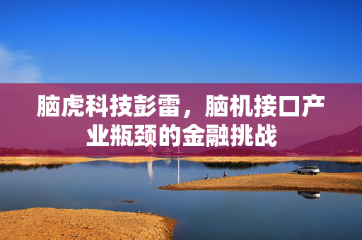 脑虎科技彭雷，脑机接口产业瓶颈的金融挑战