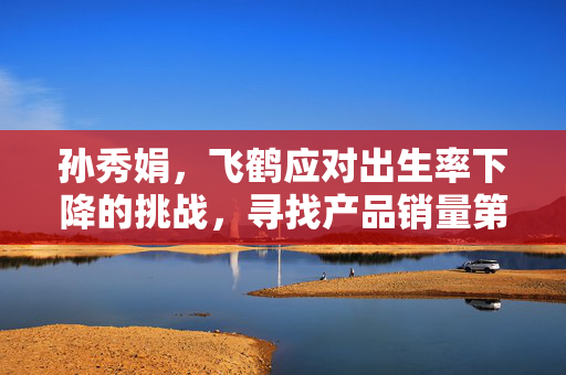 孙秀娟，飞鹤应对出生率下降的挑战，寻找产品销量第二增长曲线