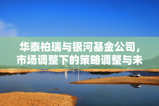 华泰柏瑞与银河基金公司，市场调整下的策略调整与未来展望